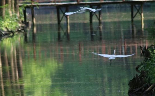 2020木兰胜天森林水王国8月31日起闭园通知