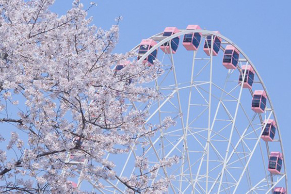 东湖之眼从哪个门进 怎么去