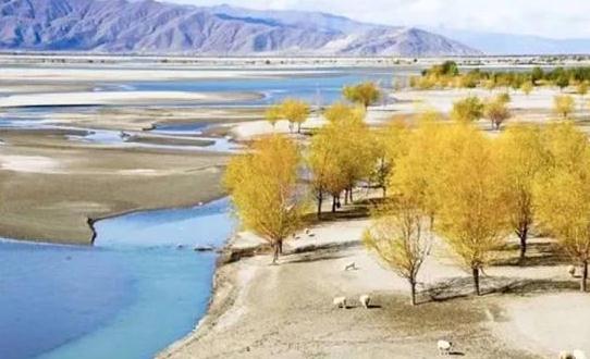 1534293262785866.jpg 4.jpg