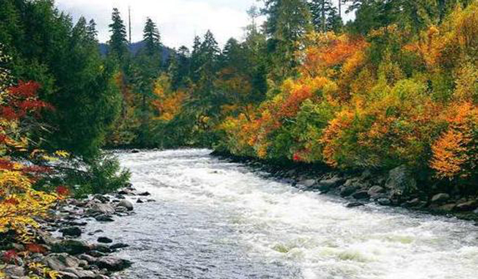 1534293276399065.jpg 6.jpg