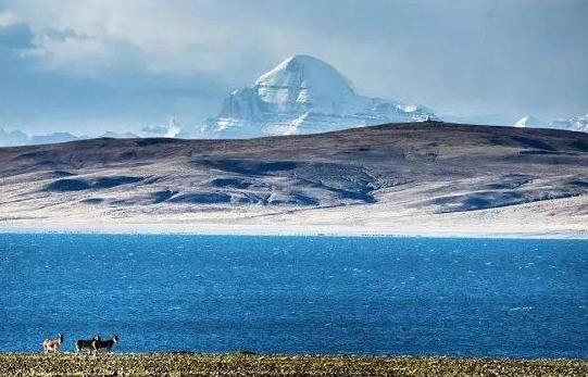 1534293323592027.jpg 15.jpg