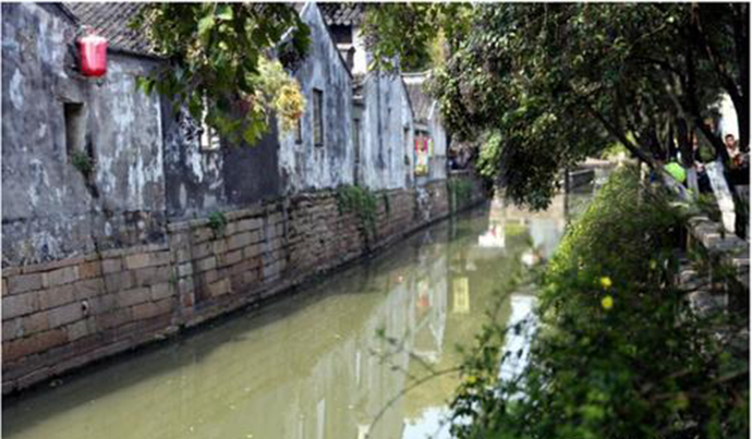 1534466536102395.jpg 1.jpg