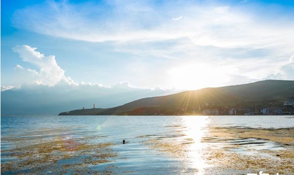 1535679592968571.jpg 2.jpg