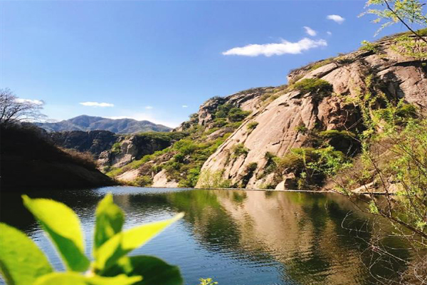 1561689459244602.jpg 2.jpg