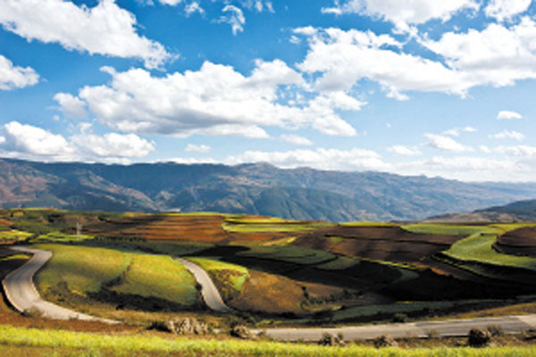 1562828504484454.jpg 3.jpg