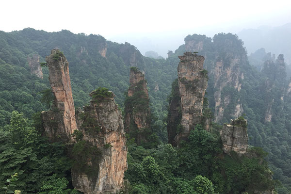 1562828536413049.jpg 2.jpg