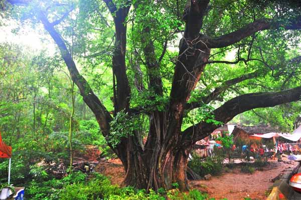 1563166593693953.jpg 1.jpg