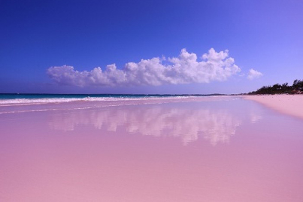粉色沙滩有哪些带粉色沙滩的景点推荐