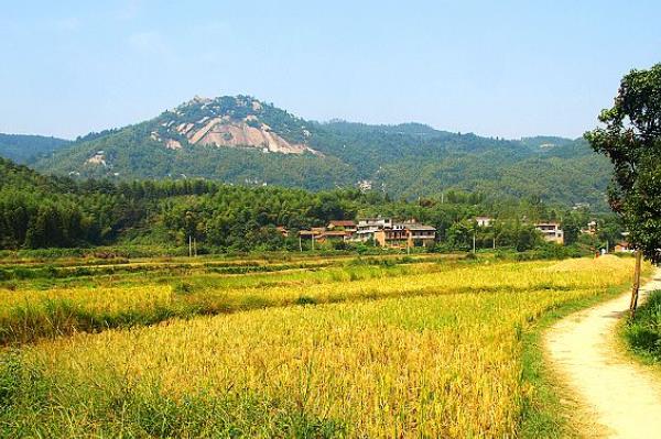 江西梅岭狮子峰景区门票多少钱 有什么好玩的怎么去