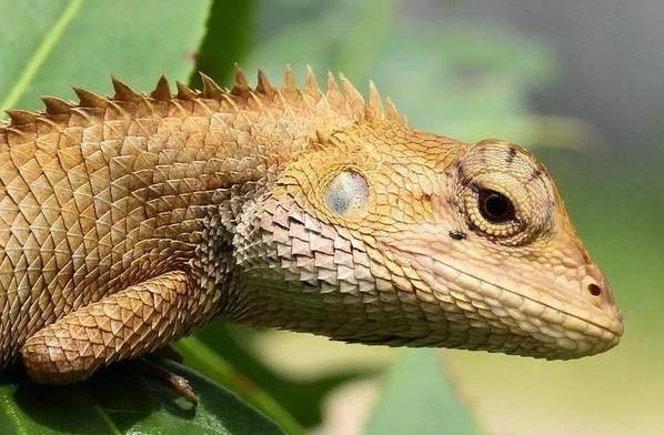 1577695679341816.jpg 601.jpg