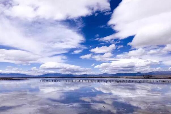 1582103250609961.jpg 603.jpg