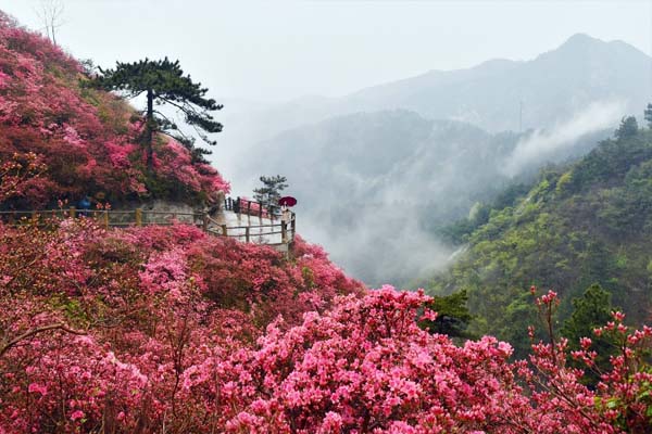 2020哪些景点对湖北人免费优惠政策（含省内外）