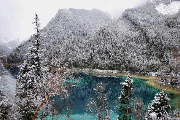 1587611989719660.png image.png