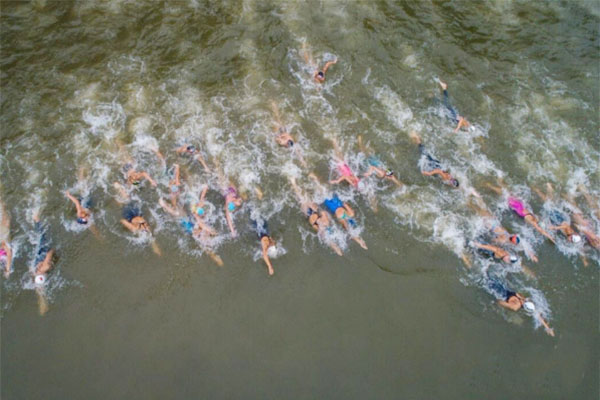 1557199007827514.jpg 3.jpg