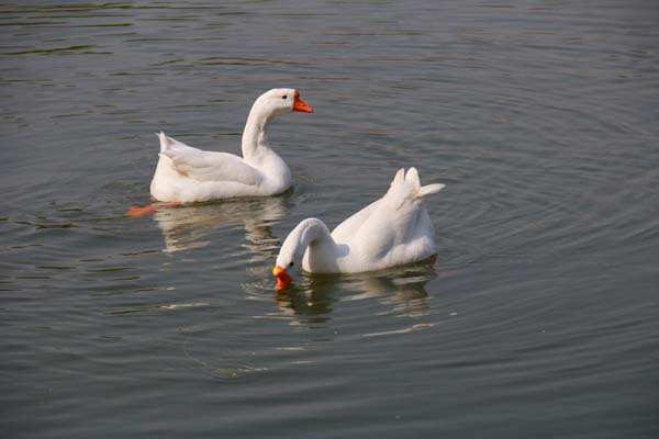 1562723692306112.jpg 2.jpg