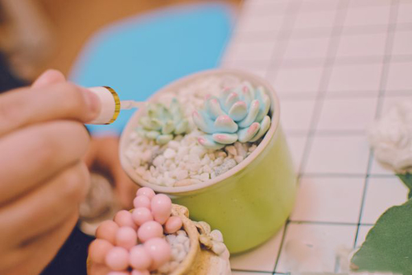 1562812702912767.jpg DIY2.jpg