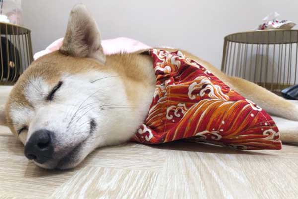 1567677350680871.jpg 咖啡3.jpg