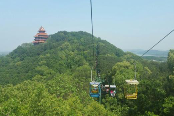 1569752545494700.jpg 东湖603.jpg