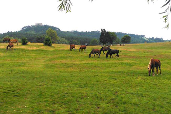 1570149488845942.jpg 2.jpg