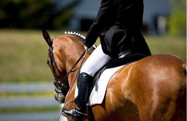 2020年国家马术队比赛的通知（共三场）