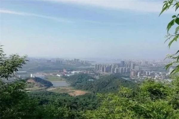 2020武汉免费旅游景点推荐