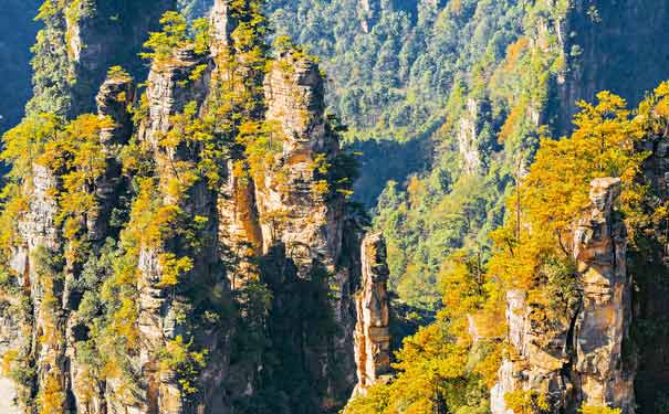 国内有哪些旅游避暑胜地张家界