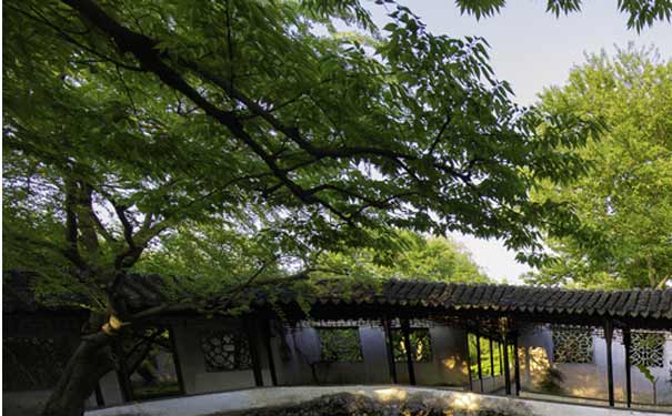 上海周邊旅游1小時車程的人間仙境