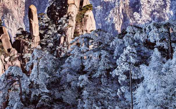 黃山霧凇-2016黃山冬季旅游攻略