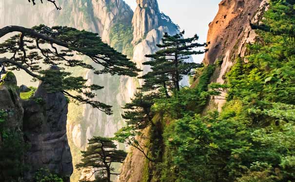 黃山迎客松-黃石旅游景點