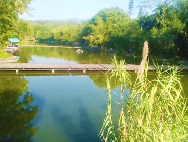 深圳免費(fèi)釣魚(yú)的地方推薦:東湖公園 深圳免費(fèi)釣魚(yú)的地方推薦:東湖公園