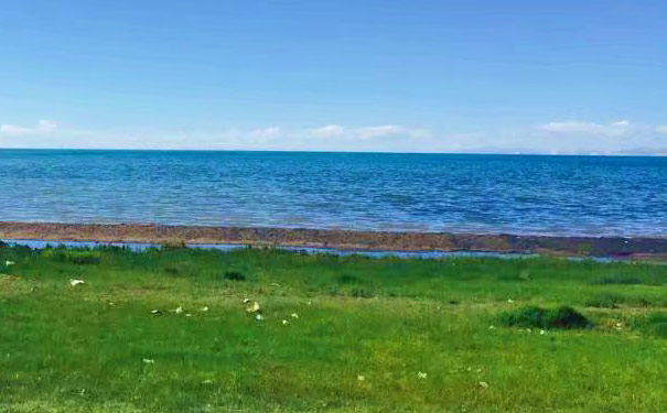 重庆到青海湖自驾游：青海湖畔草原