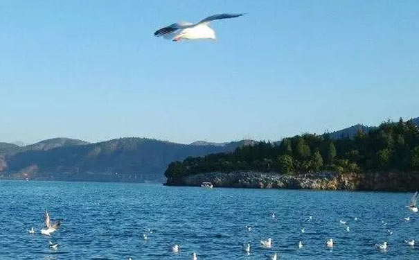 重慶到騰沖自駕旅游途經(jīng)美景:昆明滇池海埂公園 重慶到騰沖自駕旅游途經(jīng)美景:昆明滇池海埂公園