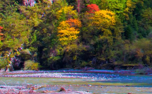 重慶周邊紅葉自駕游路線3:米亞羅紅葉 重慶周邊紅葉自駕游路線3:米亞羅紅葉