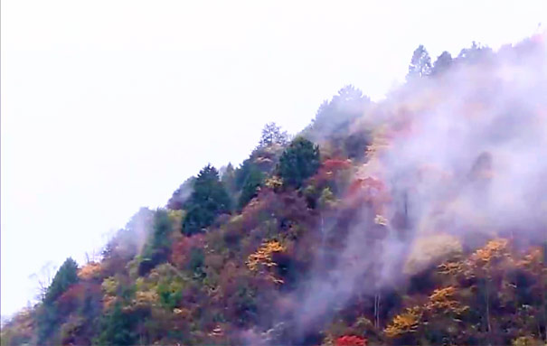 重慶周邊紅葉自駕游路線4:米倉山紅葉 重慶周邊紅葉自駕游路線4:米倉山紅葉