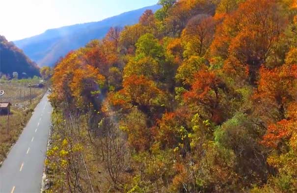 重慶周邊紅葉自駕游路線5:卡龍溝紅葉 重慶周邊紅葉自駕游路線5:卡龍溝紅葉