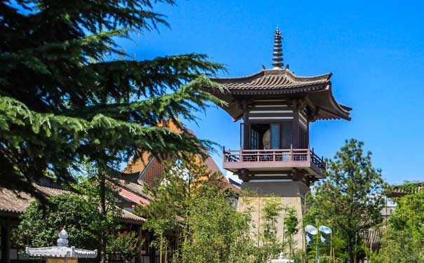 重慶到西安旅游攻略：法門寺