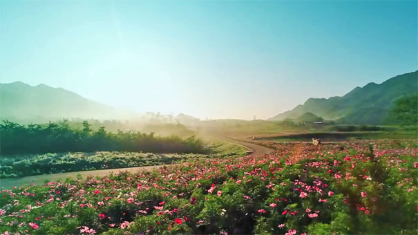 巫溪紅池壩云中花海 巫溪紅池壩云中花海