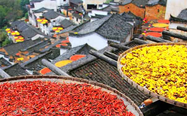 江西婺源篁嶺曬秋