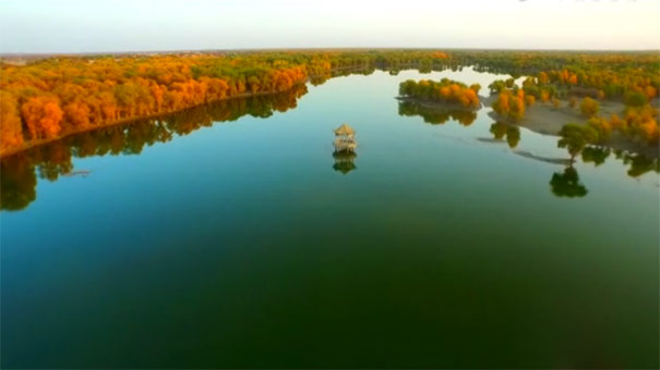 新疆輪臺胡楊林