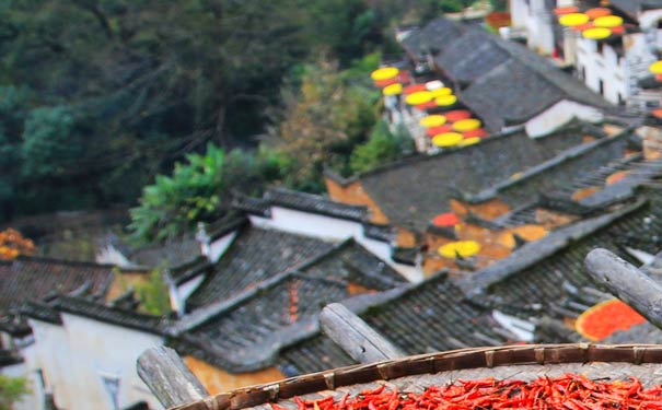 婺源篁嶺曬秋 婺源篁嶺曬秋