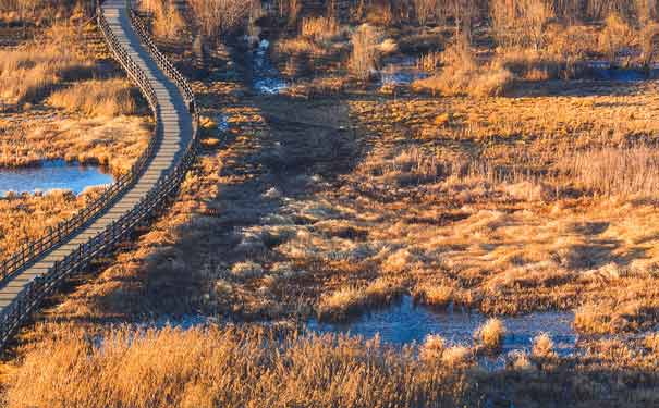 瀘沽湖旅游：情人橋