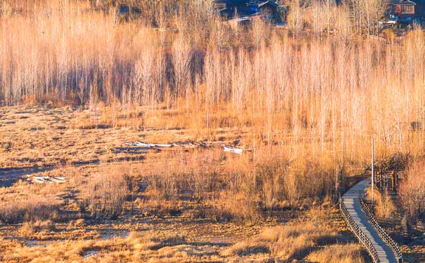 瀘沽湖旅游景點：草海