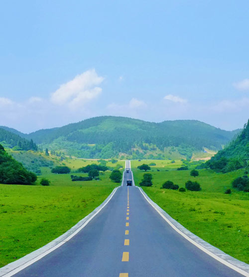 重慶周邊三日游：重慶武隆仙女山森林公園