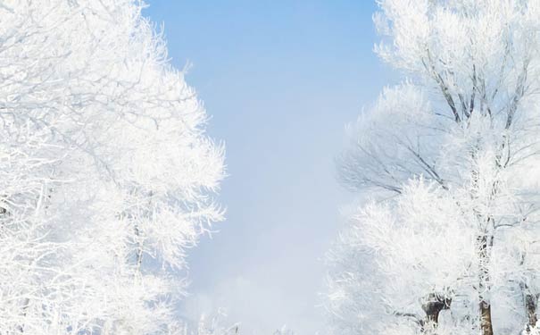 冬天东北赏雪推荐：吉林雾凇岛