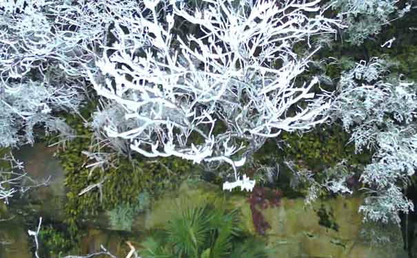 重慶周邊旅游賞雪滑雪地推薦:北碚縉云山雪景 重慶周邊旅游賞雪滑雪地推薦:北碚縉云山雪景