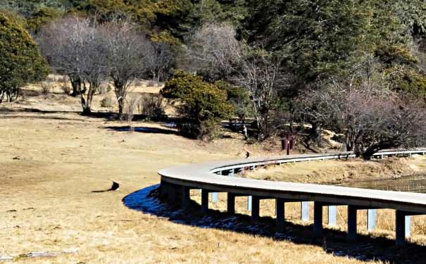 春節云南旅游:香格里拉普達措國家公園 春節云南旅游:香格里拉普達措國家公園