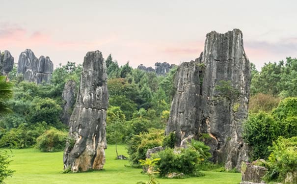 云南春節旅游推薦四:春節去云南昆明石林旅游