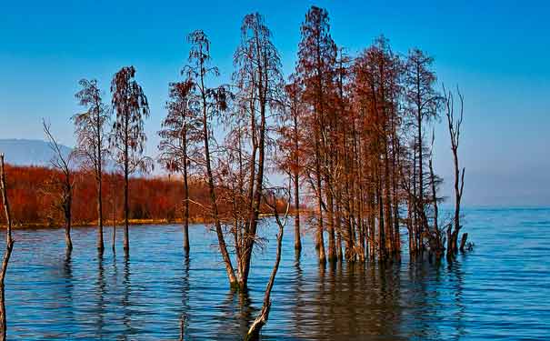 云南春節旅游哪里好玩:大理洱海 云南春節旅游哪里好玩:大理洱海