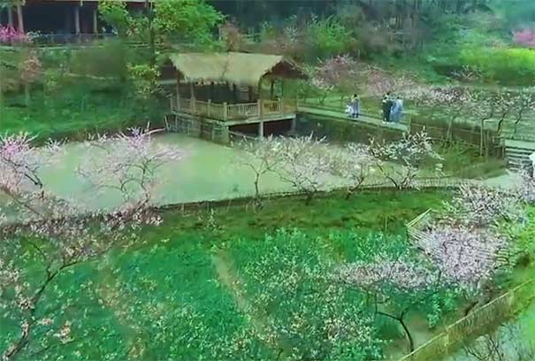 3月重慶賞桃花地點推薦：酉陽桃花源桃花