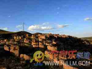 张北坝上草原农家院住宿